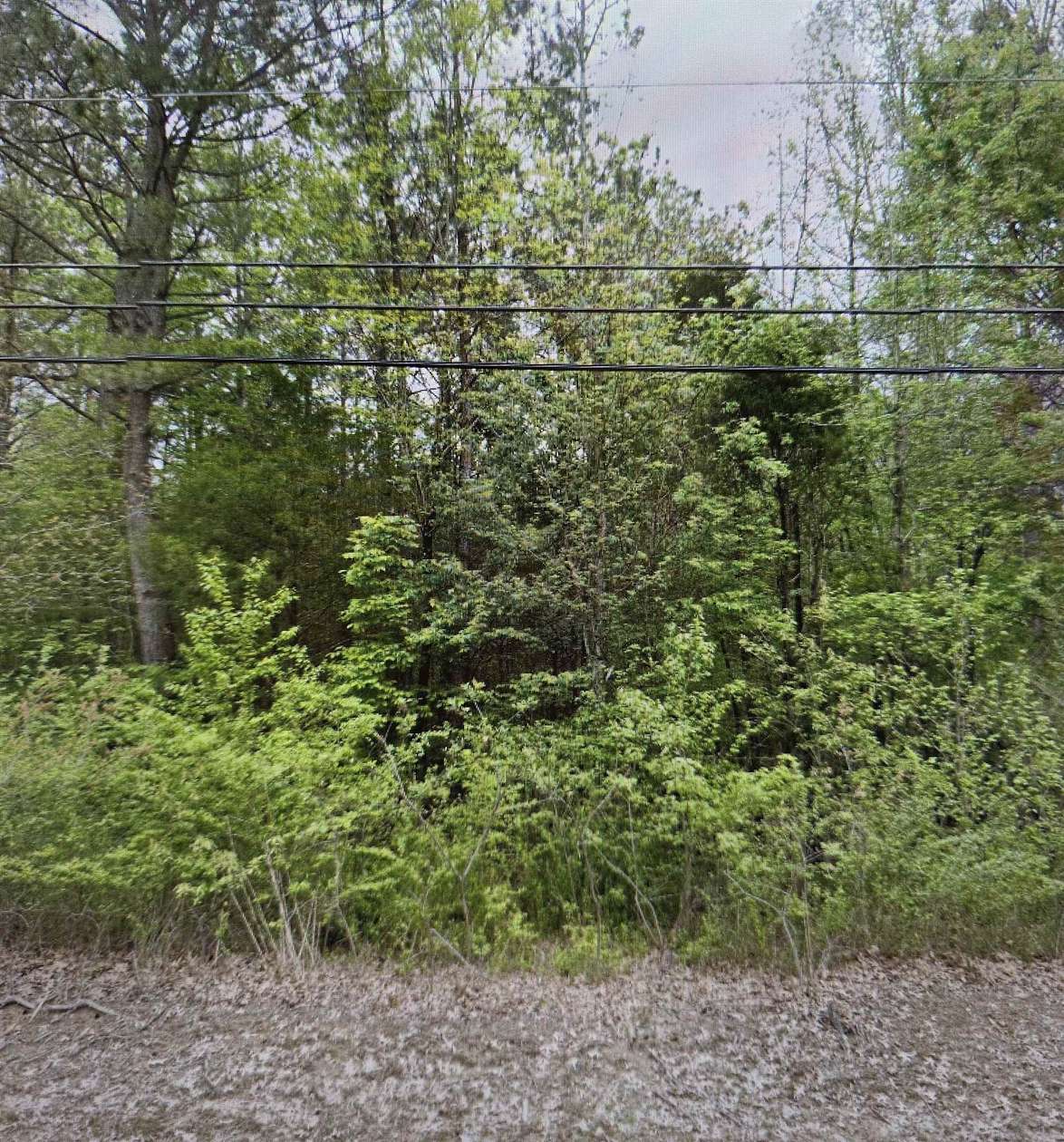 17.2 Acres of Land for Sale in Bartlett, Tennessee