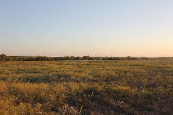 85 Acres of Land for Sale in Winters, Texas