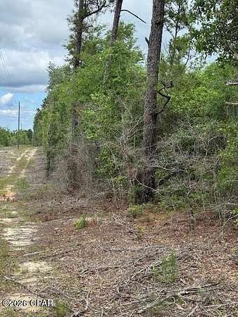 5 Acres of Residential Land for Sale in Marianna, Florida