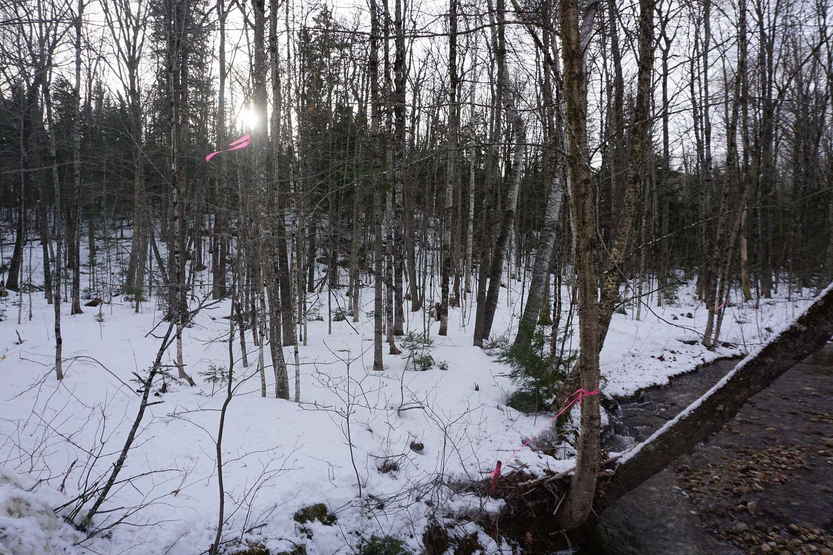 17.1 Acres of Land for Sale in Woodstock Town, Maine