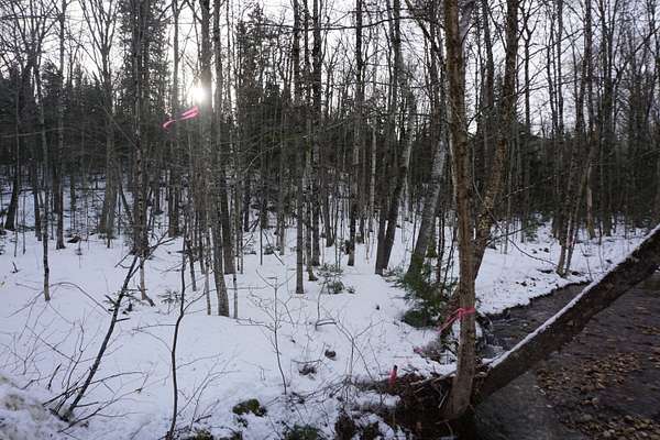 17.1 Acres of Land for Sale in Woodstock Town, Maine