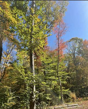 3.36 Acres of Residential Land for Sale in Hampton, Connecticut