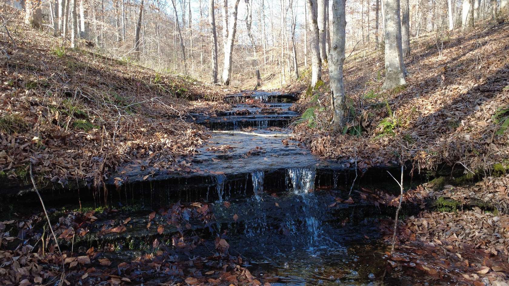 11.7 Acres of Recreational Land with Home for Sale in Waynesboro, Tennessee