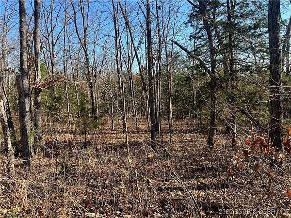 19.3 Acres of Land for Sale in Barnett, Missouri