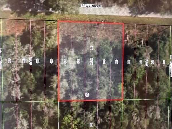 0.28 Acres of Residential Land for Sale in Inverness, Florida