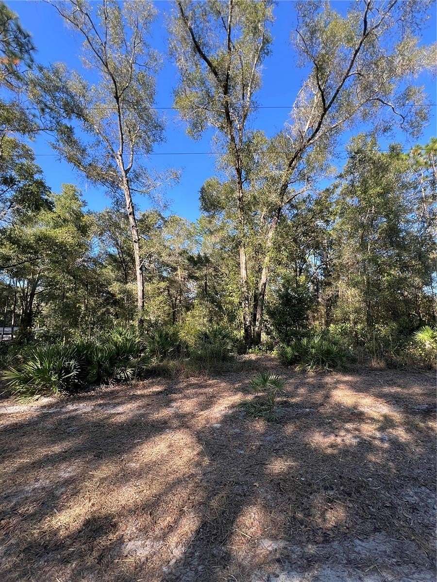 1.17 Acres of Residential Land for Sale in Summerfield, Florida