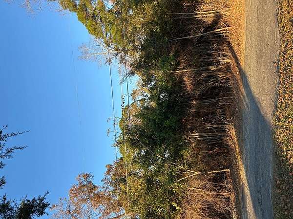0.29 Acres of Residential Land for Sale in McRae-Helena, Georgia