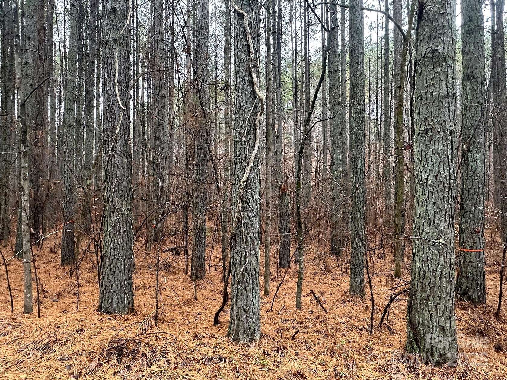 22.5 Acres of Recreational Land for Sale in Union Mills, North Carolina