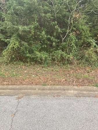 0.25 Acres of Residential Land for Sale in Branson, Missouri