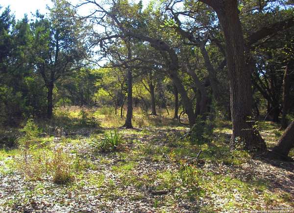 0.96 Acres of Residential Land for Sale in Canyon Lake, Texas