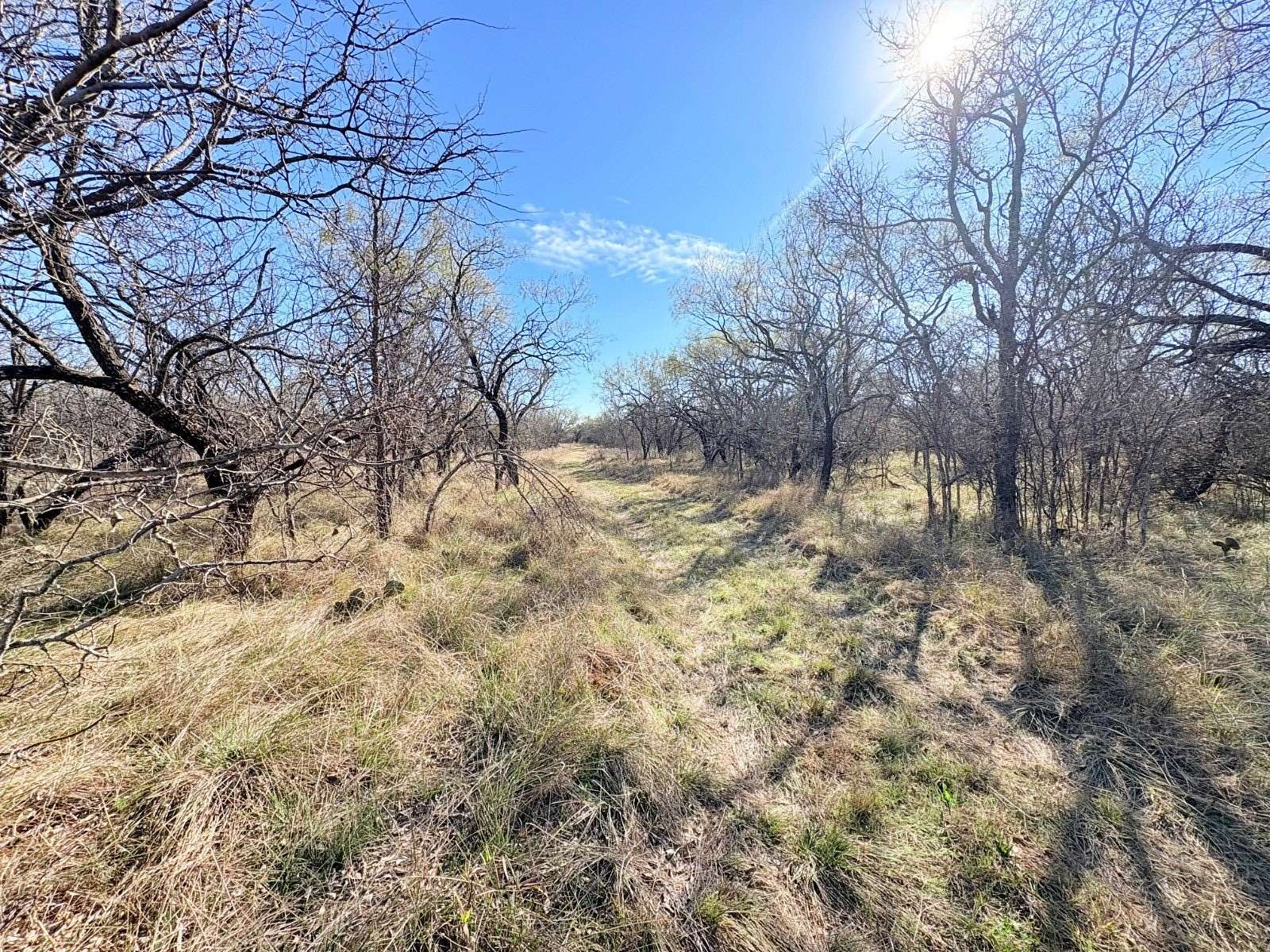 24.3 Acres of Recreational Land for Sale in Graham, Texas