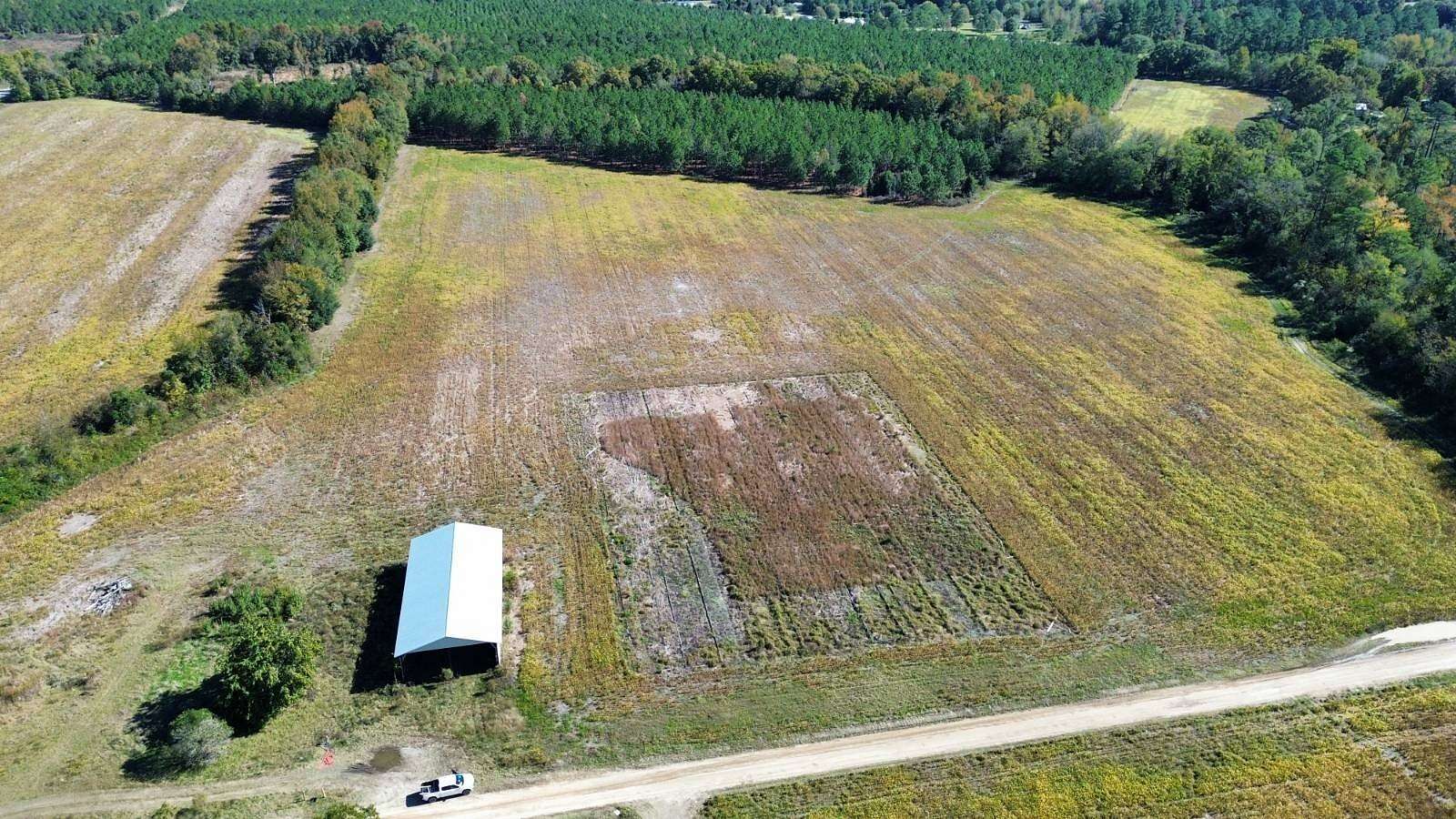 27 Acres of Agricultural Land for Sale in Wallace, South Carolina