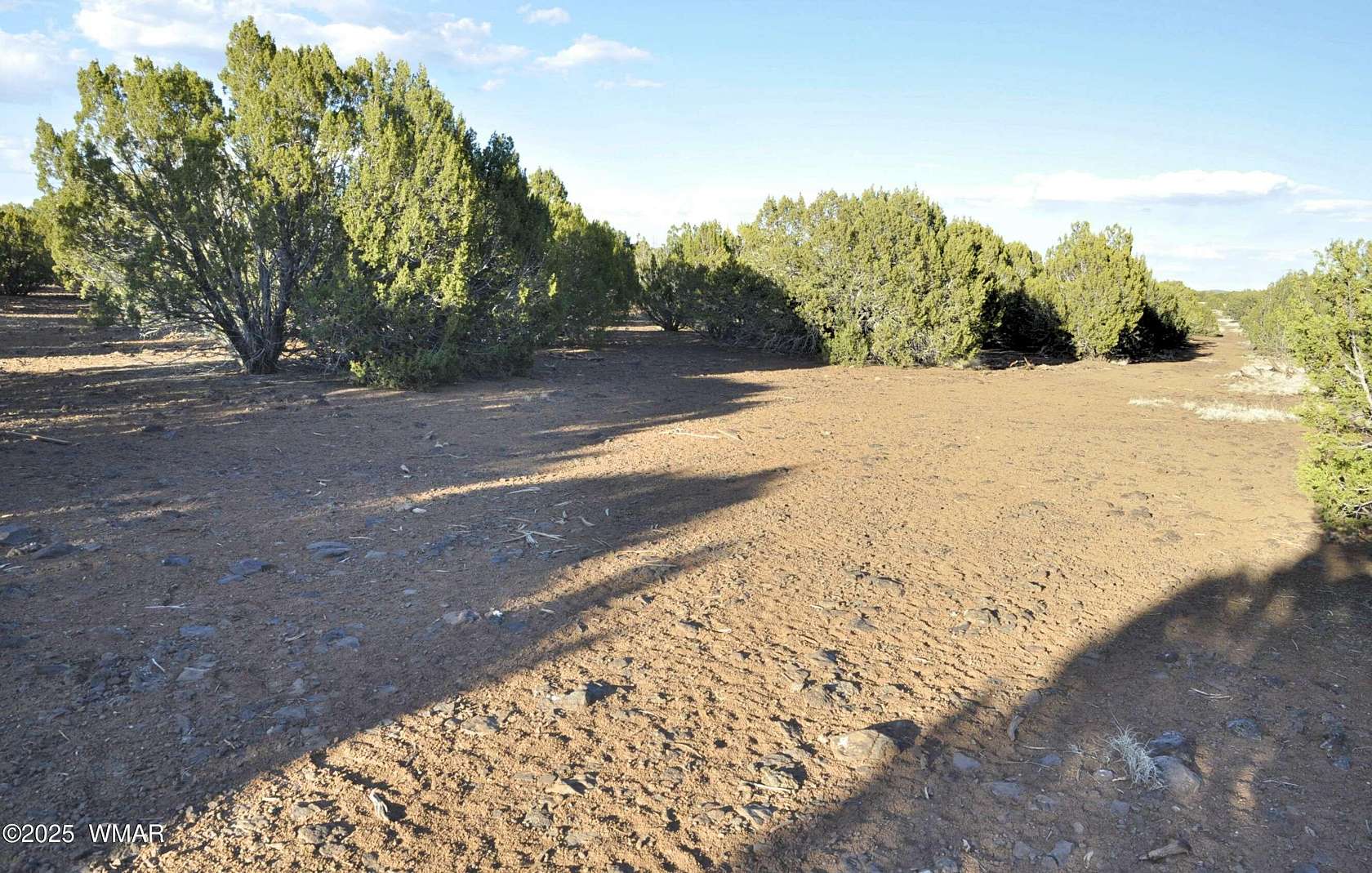 10 Acres of Recreational Land for Sale in Show Low, Arizona