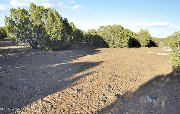 10 Acres of Recreational Land for Sale in Show Low, Arizona