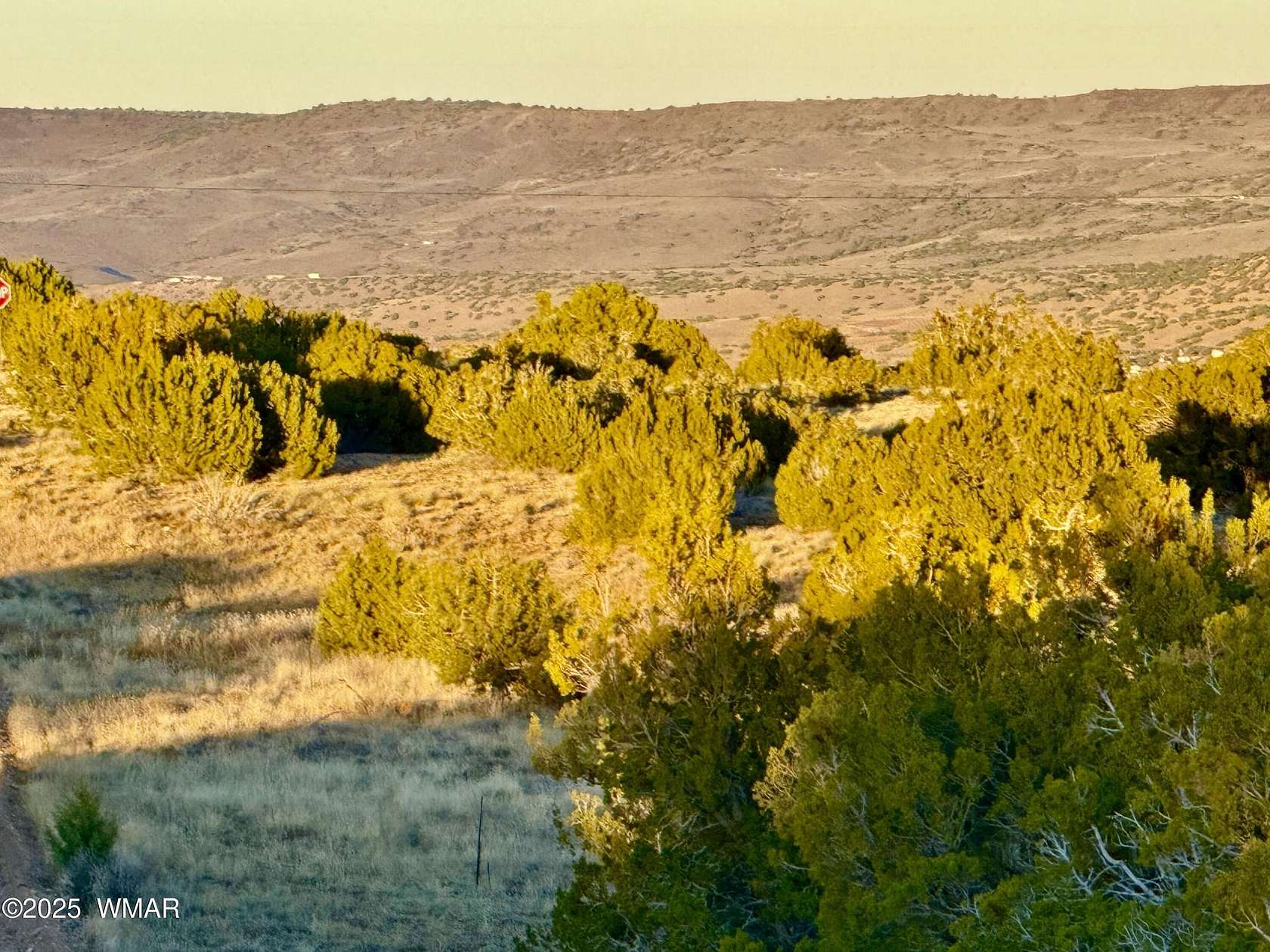 1 Acre of Residential Land for Sale in Concho, Arizona