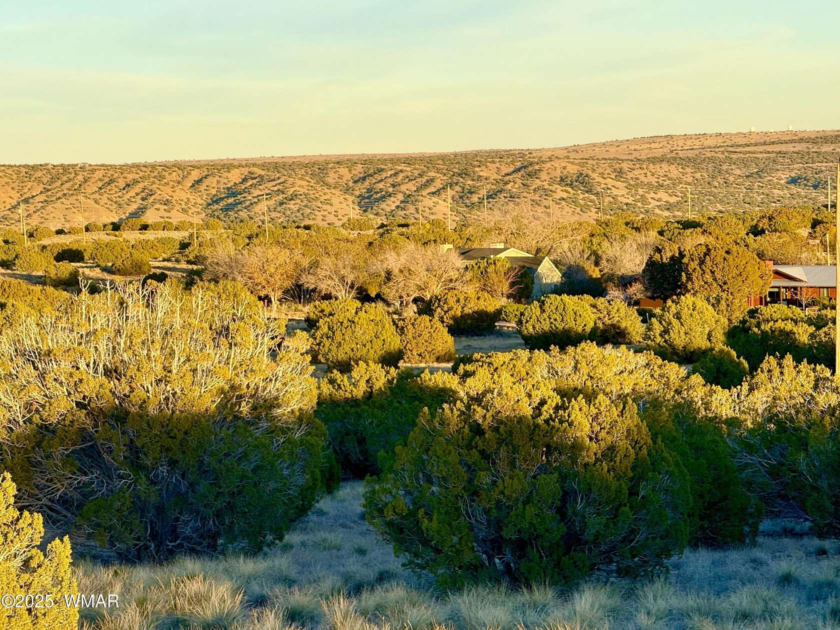 1 Acre of Residential Land for Sale in Concho, Arizona