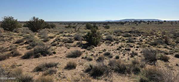 40.2 Acres of Land for Sale in Snowflake, Arizona