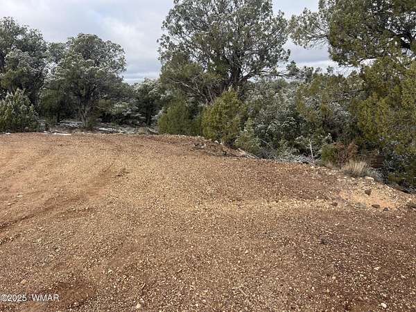 0.28 Acres of Residential Land for Sale in Show Low, Arizona