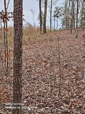 0.48 Acres of Residential Land for Sale in Fuquay-Varina, North Carolina