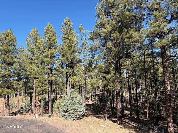0.7 Acres of Residential Land for Sale in Show Low, Arizona