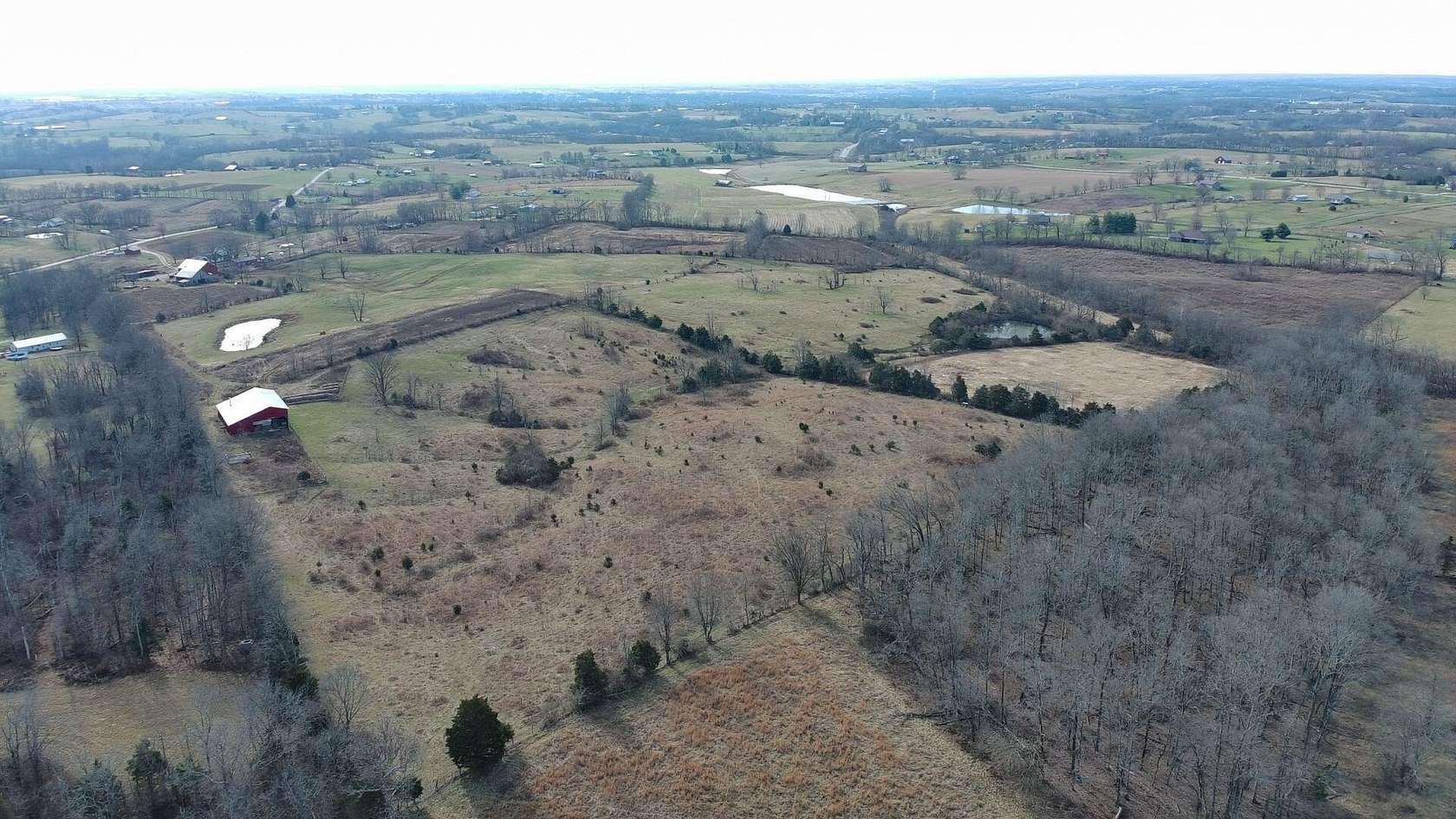 44 Acres of Agricultural Land for Sale in Cynthiana, Kentucky