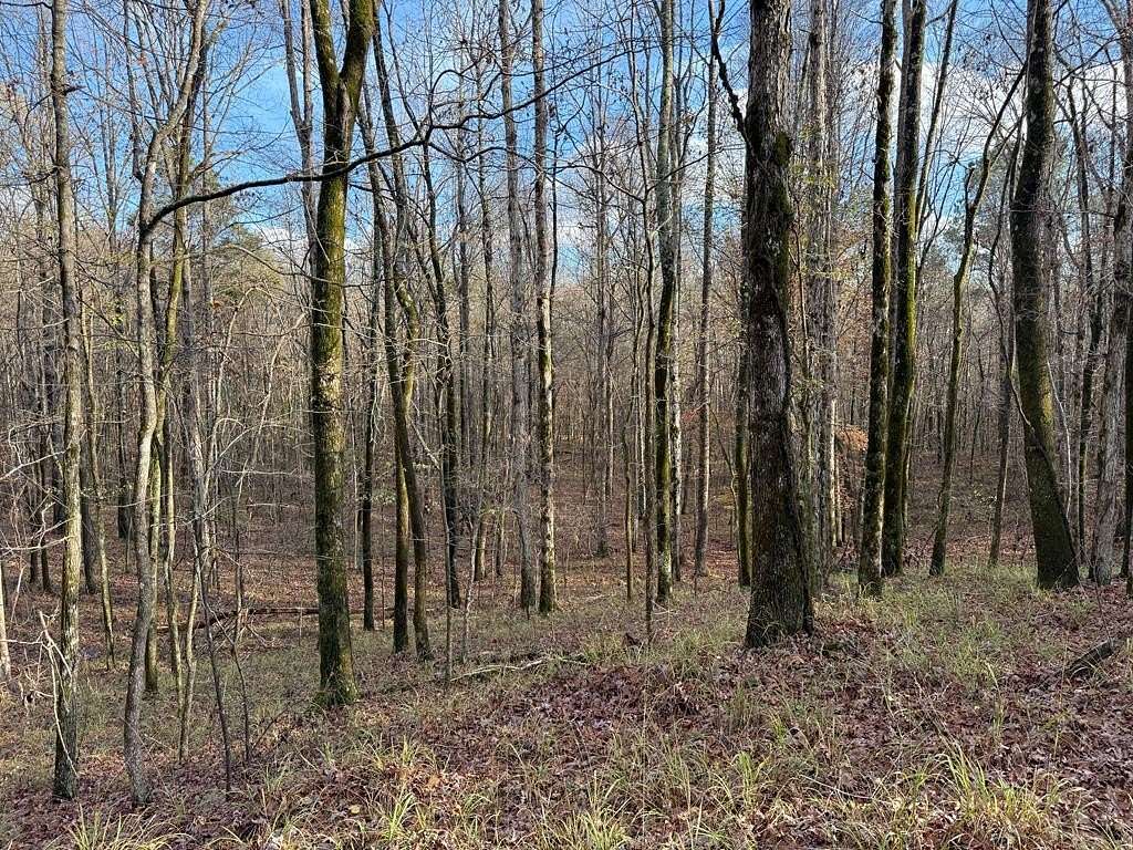 63 Acres of Recreational Land for Sale in Grenada, Mississippi