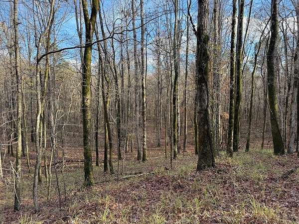 63 Acres of Recreational Land for Sale in Grenada, Mississippi