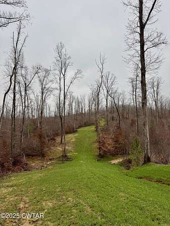 57.2 Acres of Recreational Land for Sale in Bath Springs, Tennessee