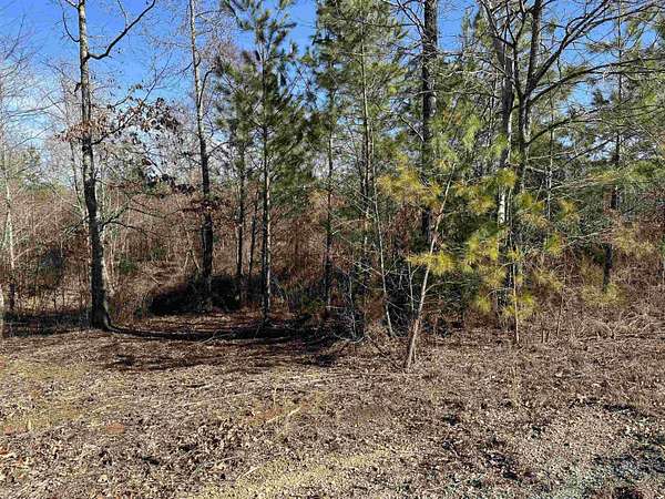 1 Acre of Residential Land for Sale in Beech Bluff, Tennessee