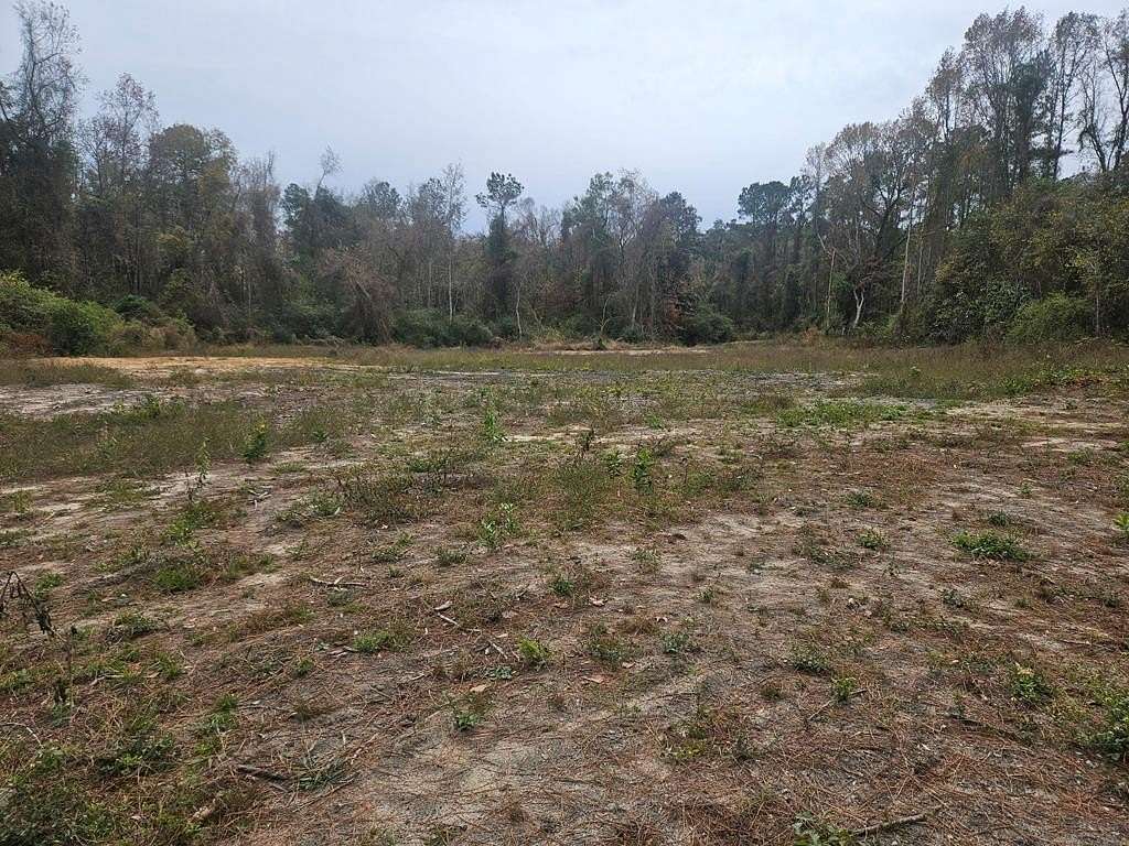 7.3 Acres of Residential Land for Sale in Quitman, Georgia