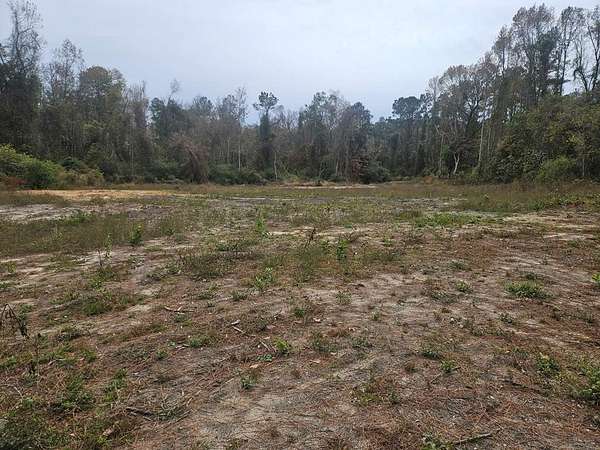 7.3 Acres of Residential Land for Sale in Quitman, Georgia