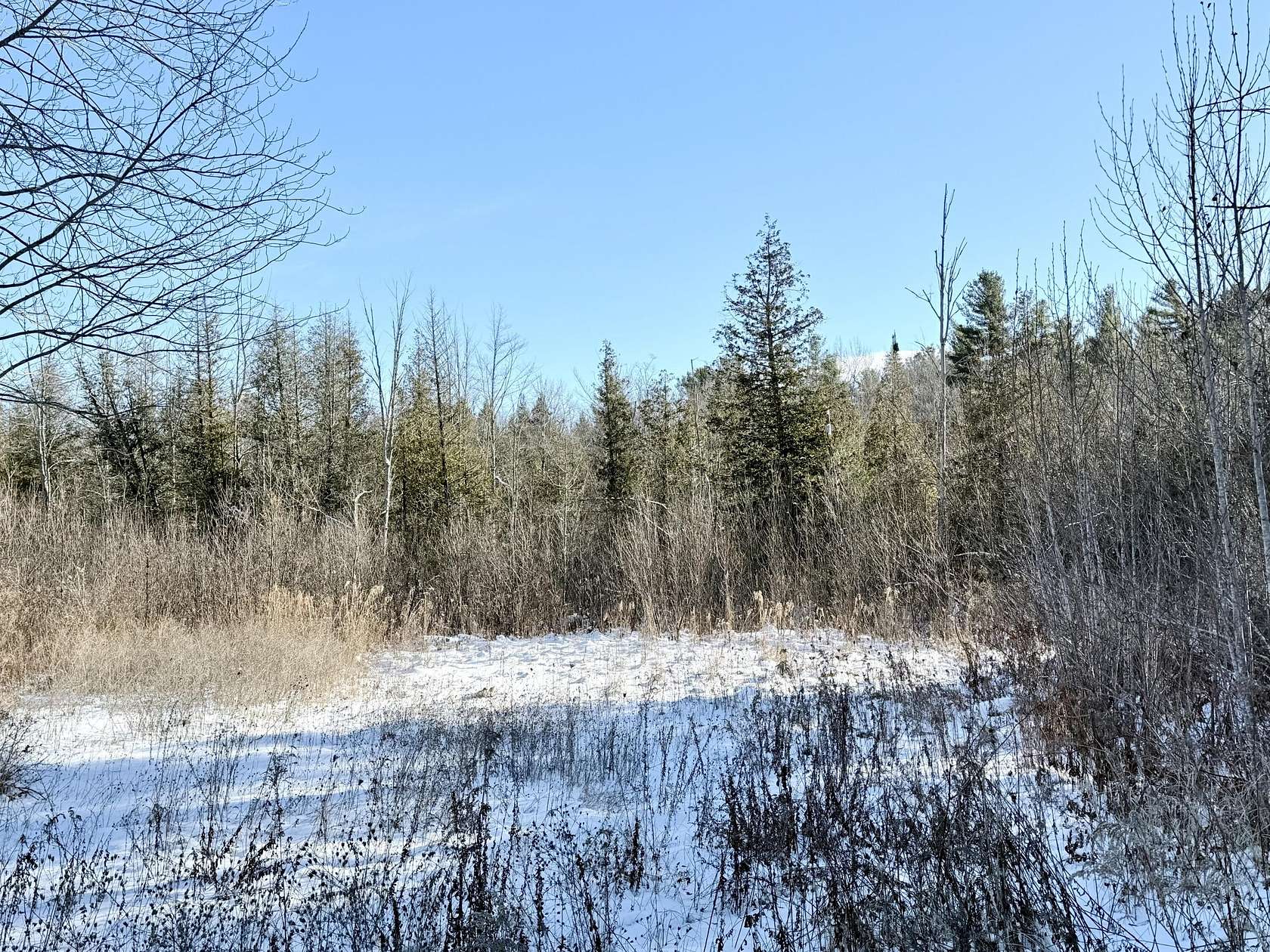 7.3 Acres of Land for Sale in Cadyville, New York