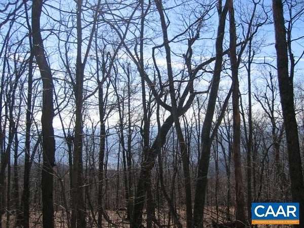 50 Acres of Land for Sale in Amherst, Virginia