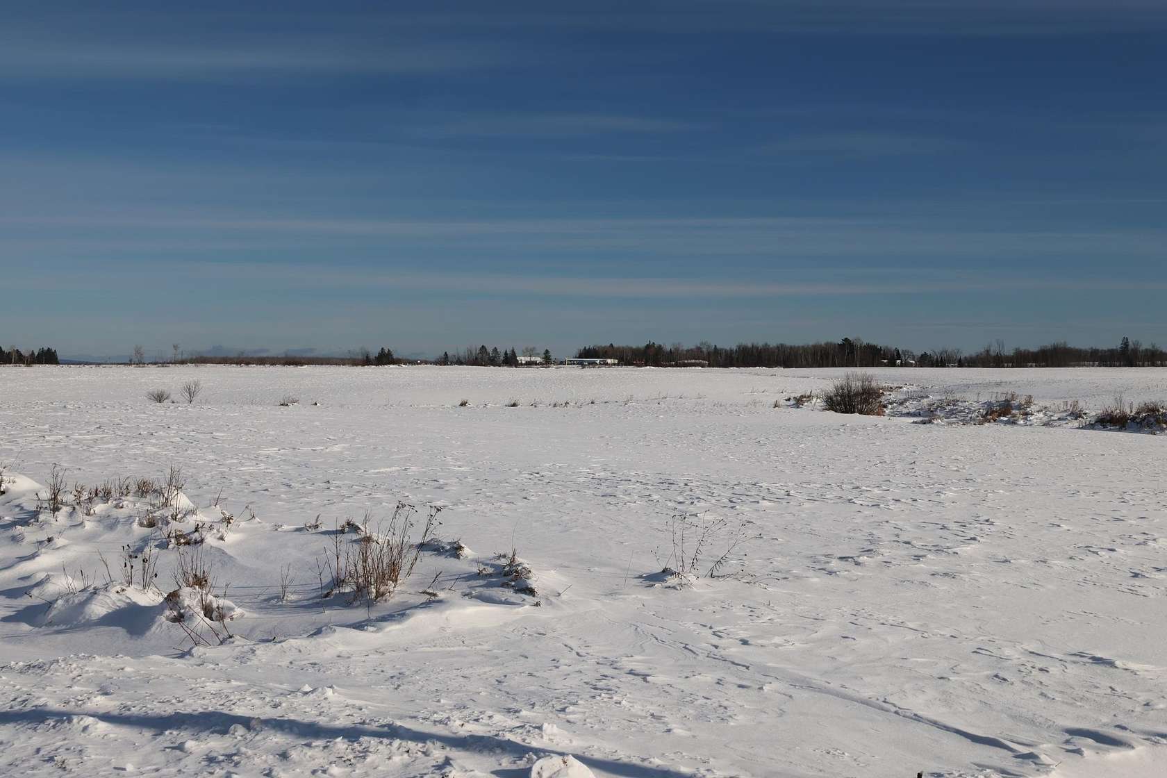 4 Acres of Agricultural Land for Sale in Mason, Wisconsin