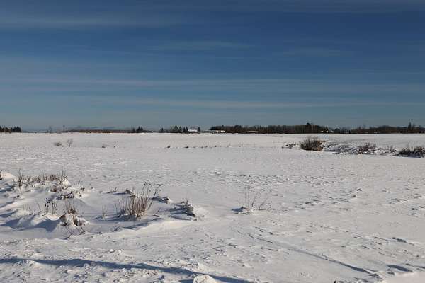 4 Acres of Agricultural Land for Sale in Mason, Wisconsin