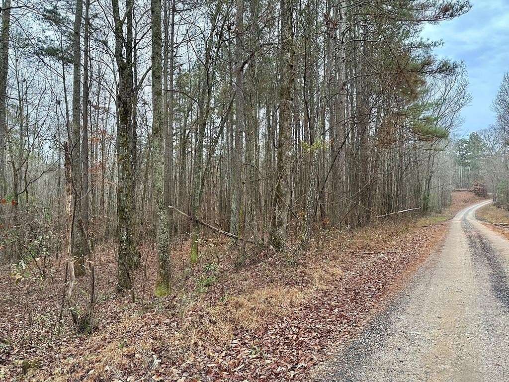 Land for Sale in Heflin, Alabama