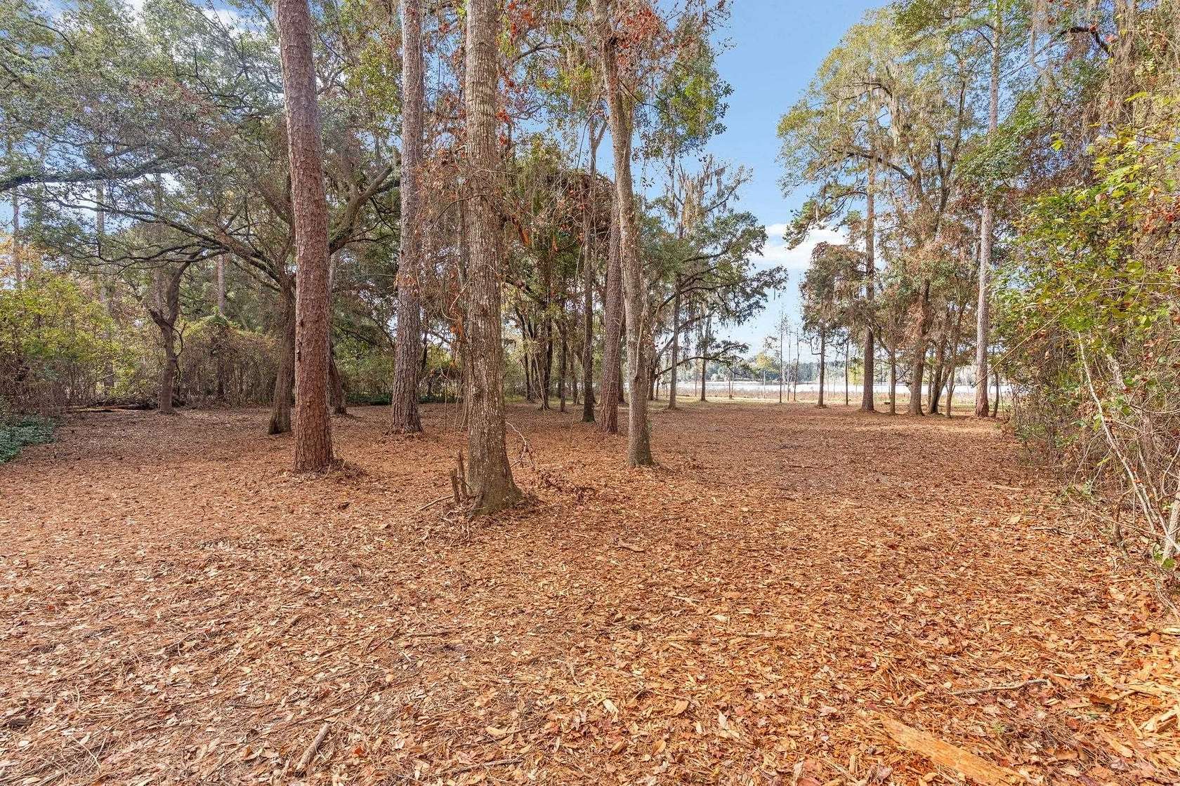 7.66 Acres of Residential Land for Sale in Tallahassee, Florida