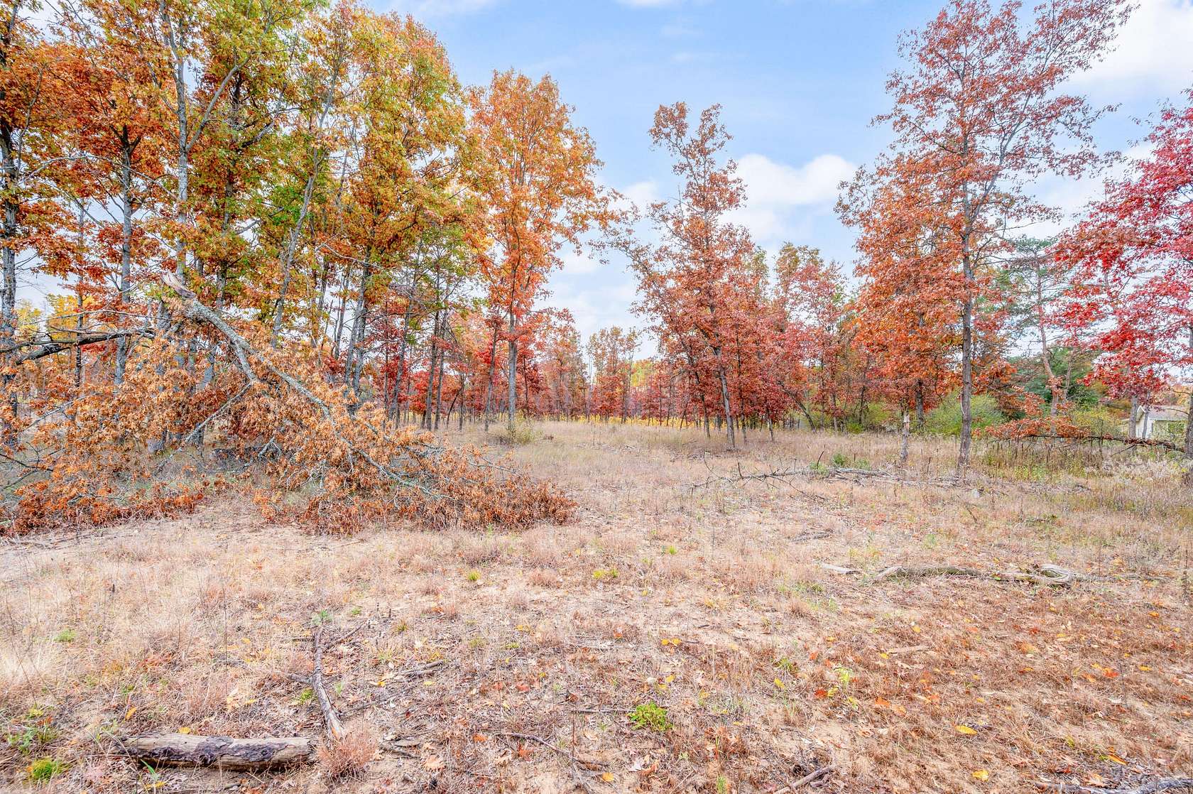 15.2 Acres of Land for Sale in Big Rapids, Michigan