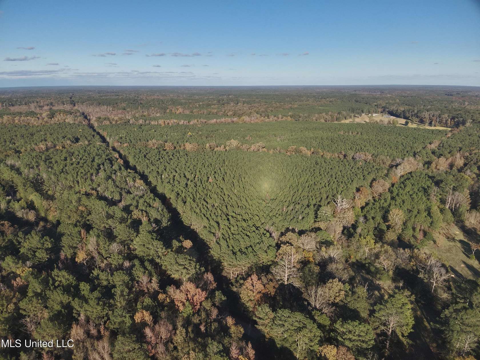 155 Acres of Recreational Land for Sale in Canton, Mississippi