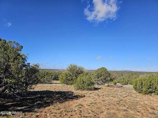 20 Acres of Recreational Land for Sale in Heber, Arizona