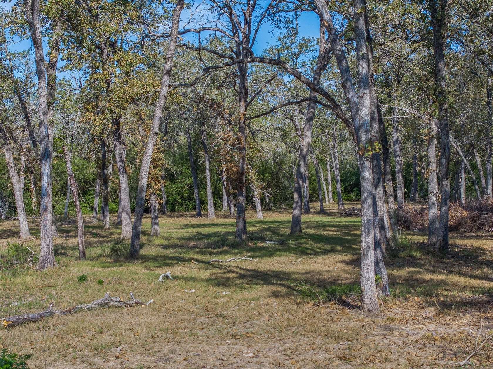 2 Acres of Residential Land for Sale in La Grange, Texas