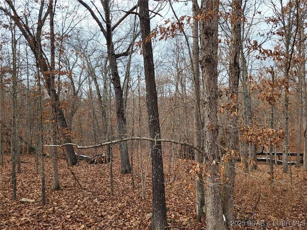 7 Acres of Residential Land for Sale in Edwards, Missouri