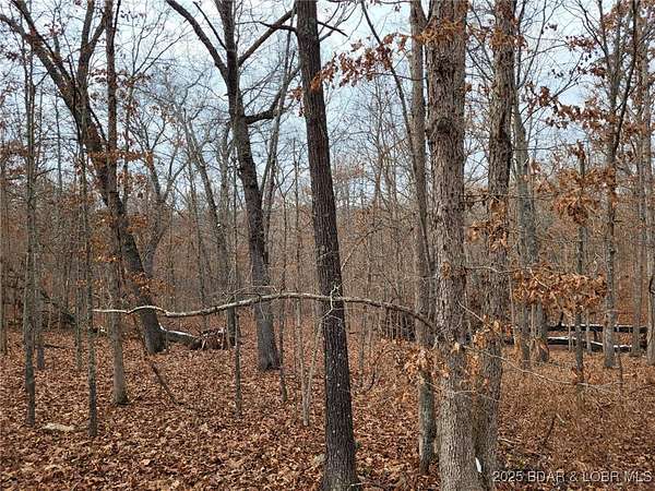 7 Acres of Residential Land for Sale in Edwards, Missouri