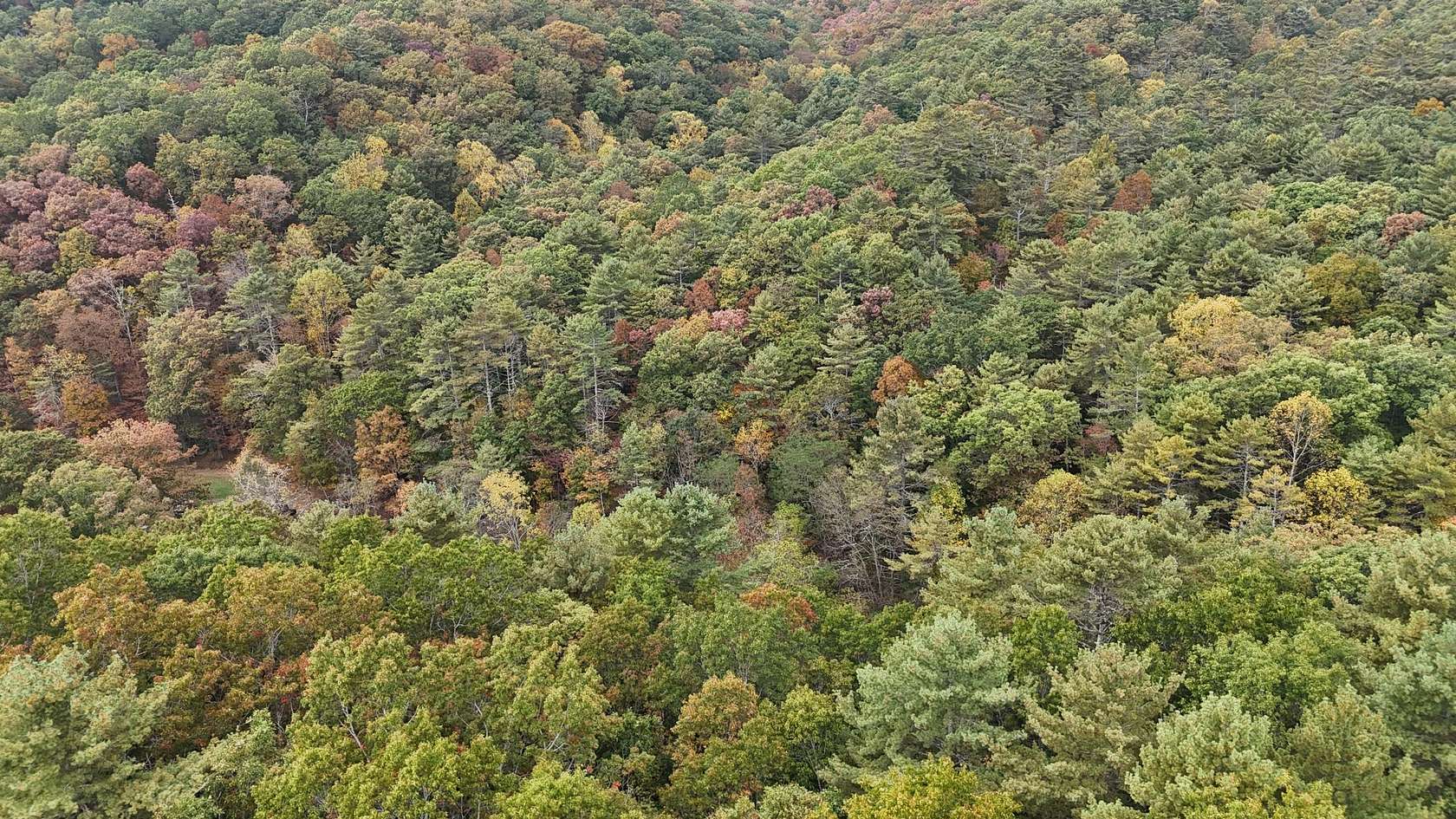 9.46 Acres of Land for Sale in White Sulphur Springs, West Virginia