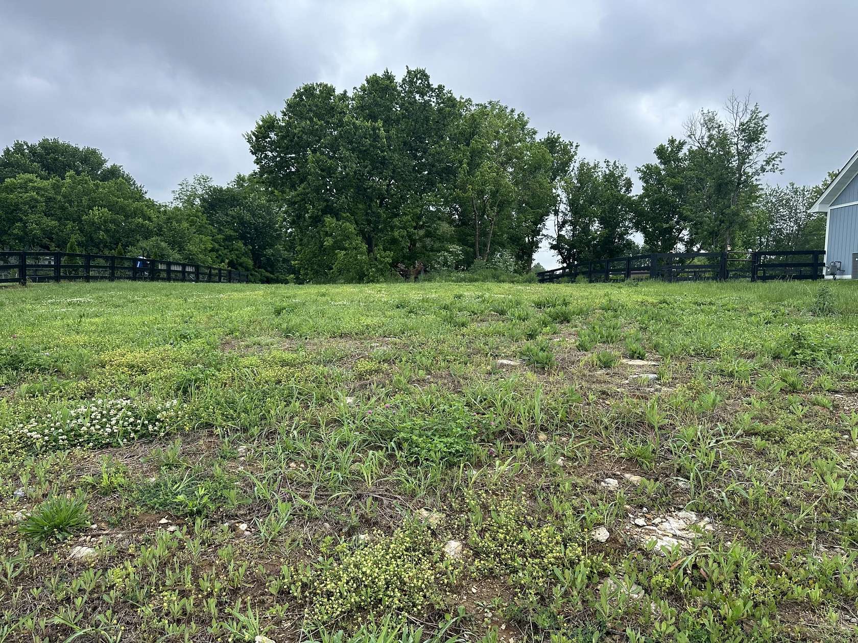 0.33 Acres of Residential Land for Sale in Midway, Kentucky