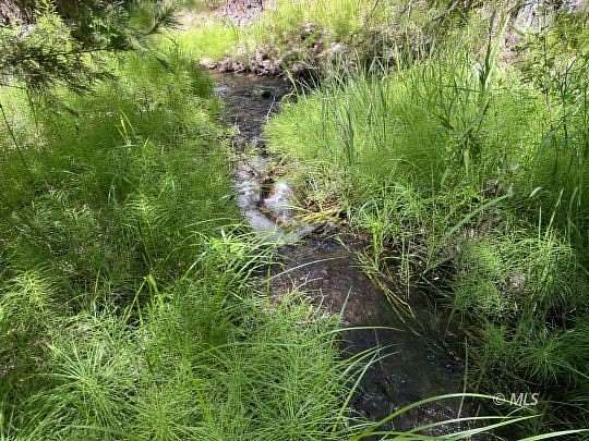 120 Acres of Land with Home for Sale in Adin, California