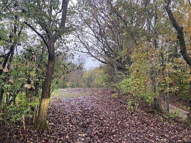 18 Acres of Land for Sale in Brooksville, Kentucky