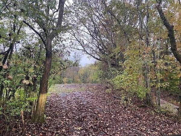 18.4 Acres of Land for Sale in Brooksville, Kentucky