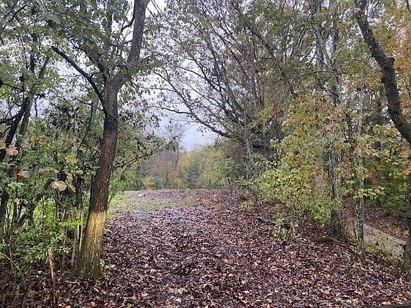 18 Acres of Land for Sale in Brooksville, Kentucky