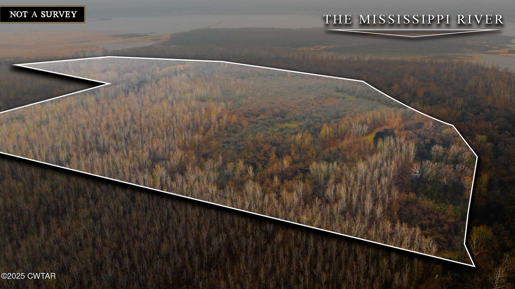 89.3 Acres of Recreational Land for Sale in Ridgely, Tennessee